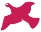 Red Bird