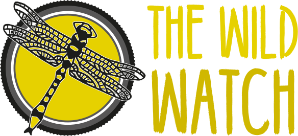 Wild Watch Logo