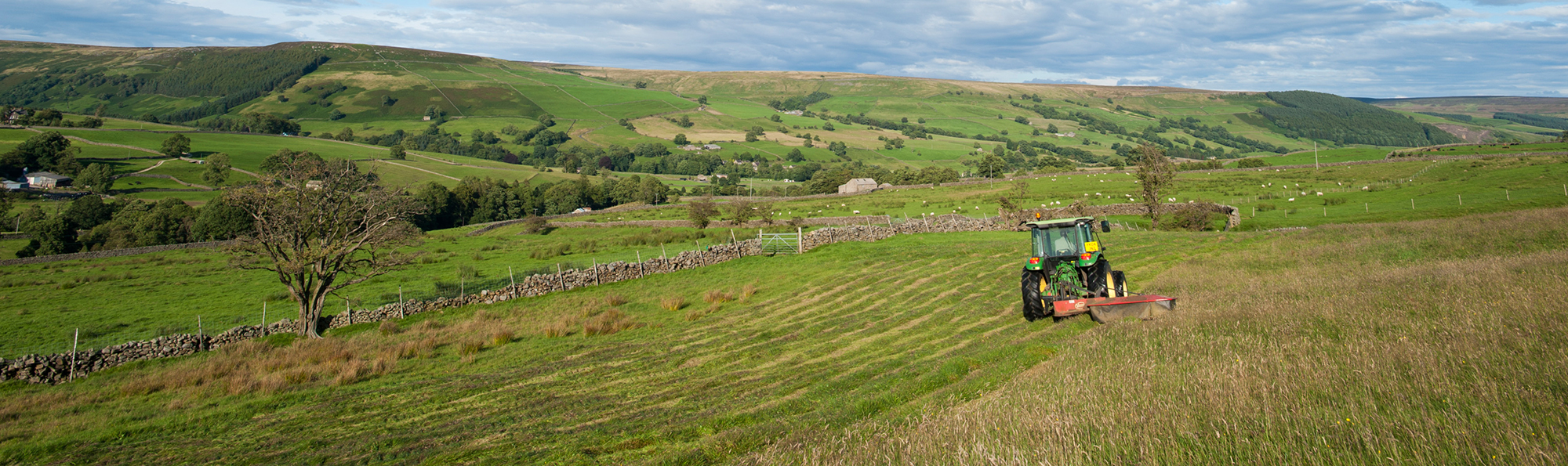 A green tractor mowing a hay meadow in the foreground with a green hillside in the distance
