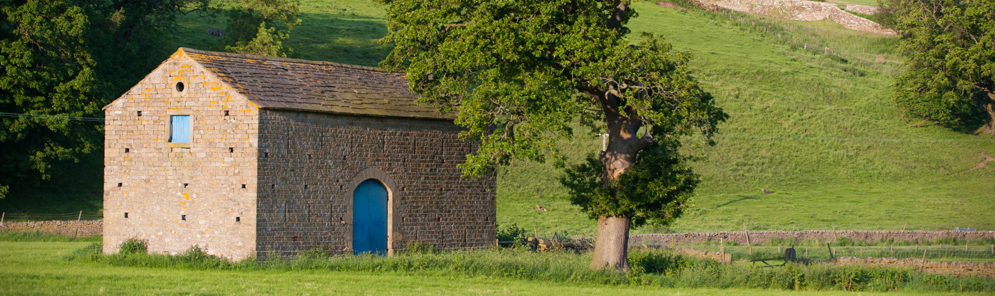 Stone barn with blue door in grass field with tree in front