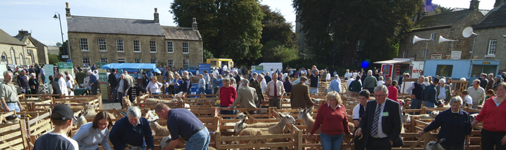 People standing by sheep pens at country show