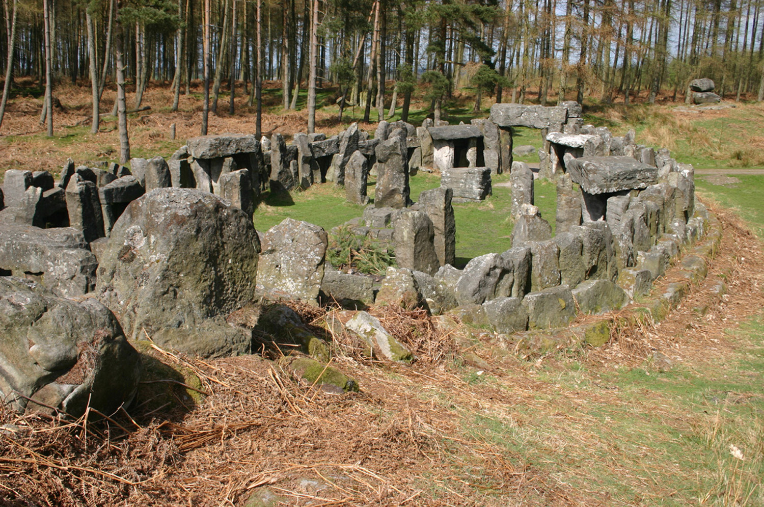 A close up of a large Stone Henge type circle of stones with a forest of pine trees behind