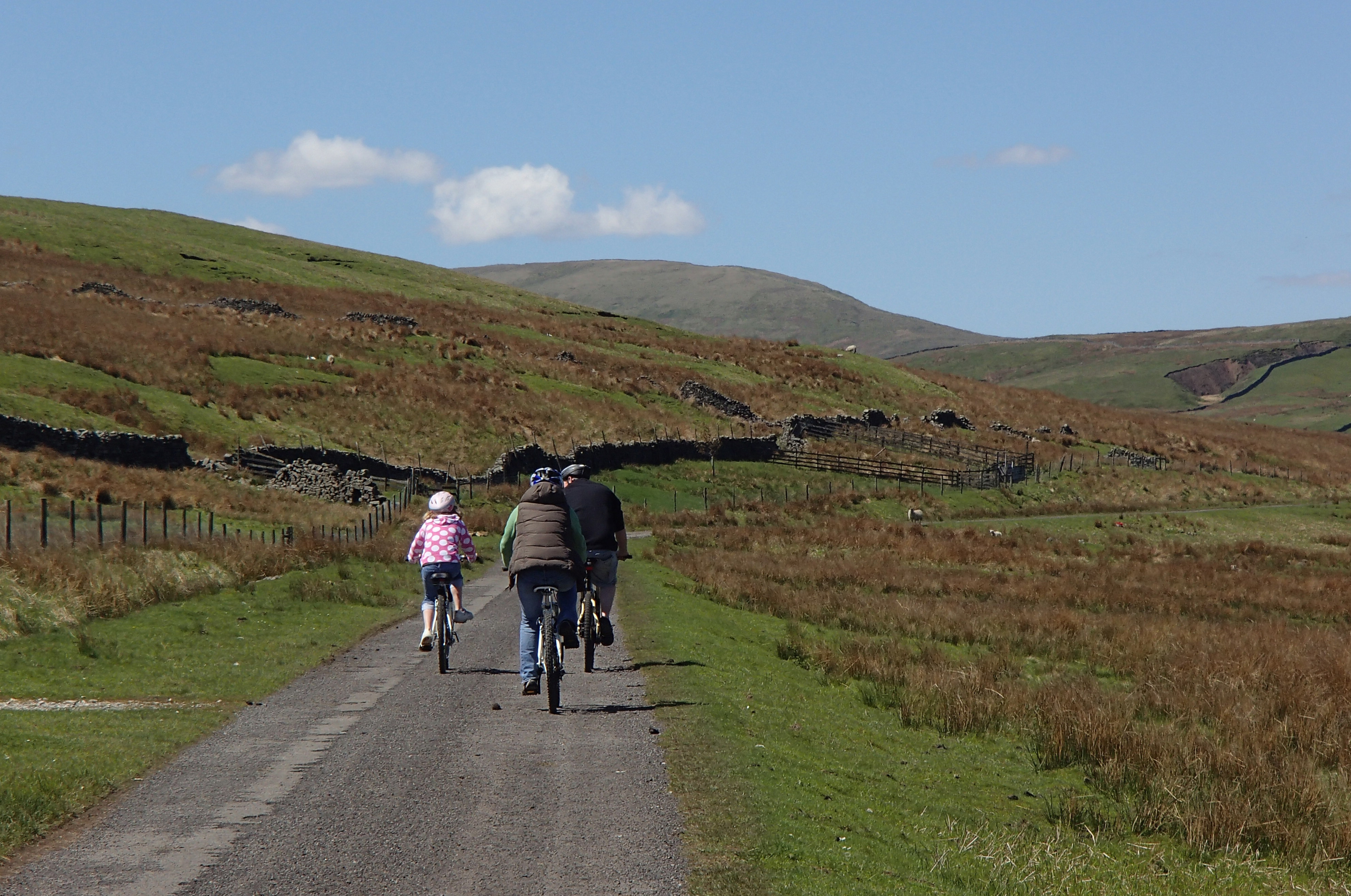 A rear view of two adults and one child cycling on a tarmac road with hills to the left and some sheep in the distance
