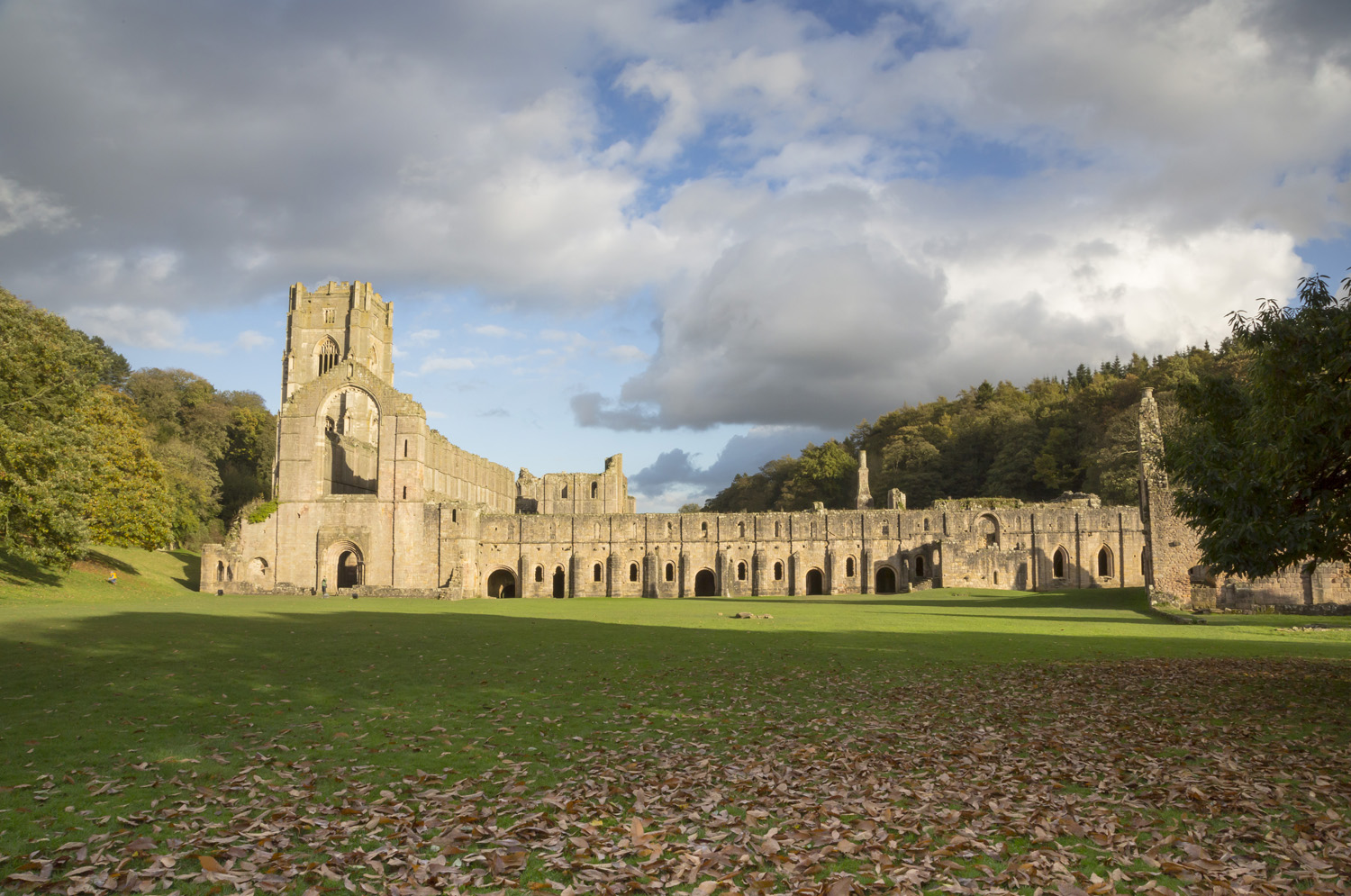 Looking towards Fountains Abbey and its cellarium with a leaf covered lawn in the foreground and autumnal trees to either side