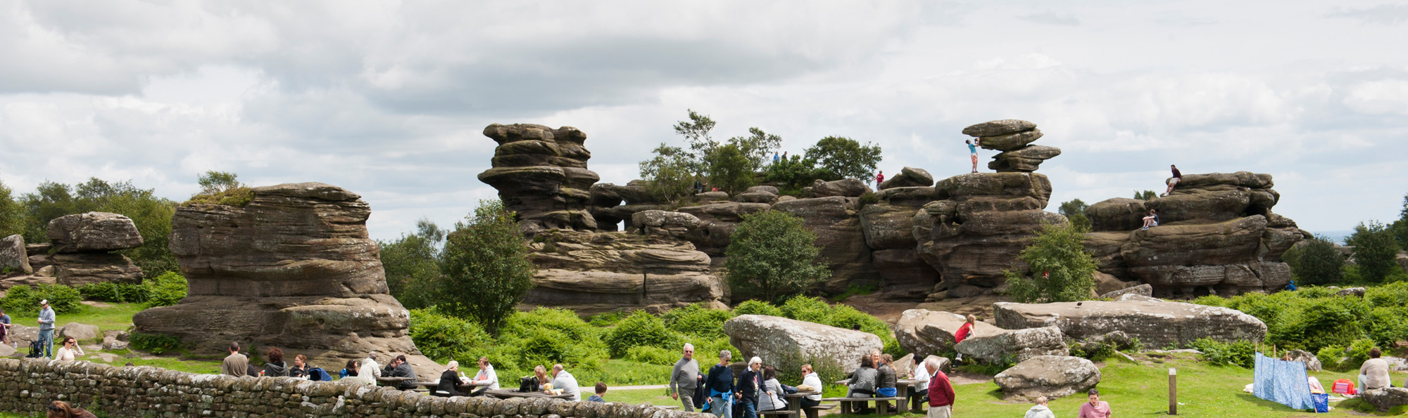 Looking across at a series of rock formations at Brimham Rocks interspersed with green trees, with a large number of people in the foreground and several people standing on the rocks