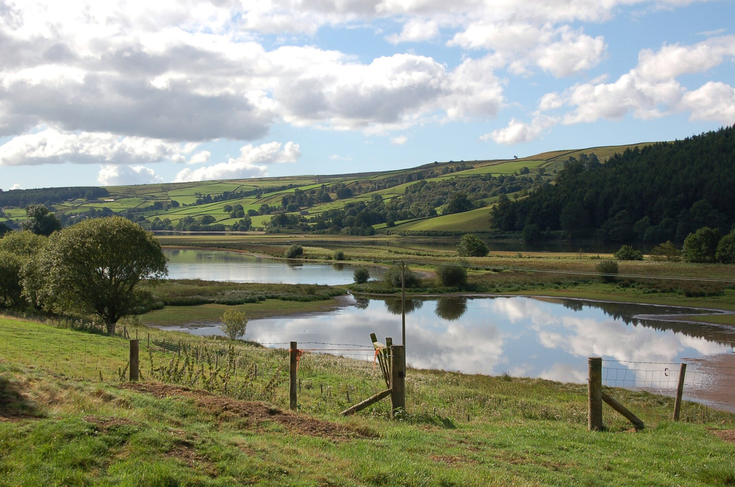 A view across Gouthwaite Reservoir with woodland and green fields on the hillside beyond