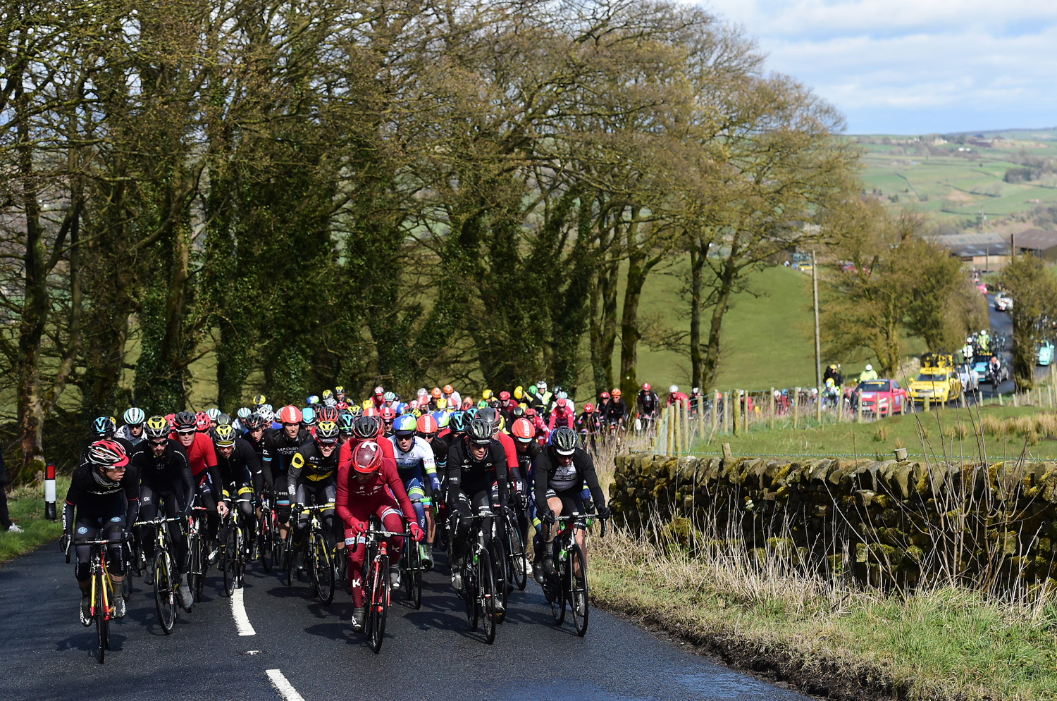A very large group of cyclists on a road with trees behind them and a convoy of cars following