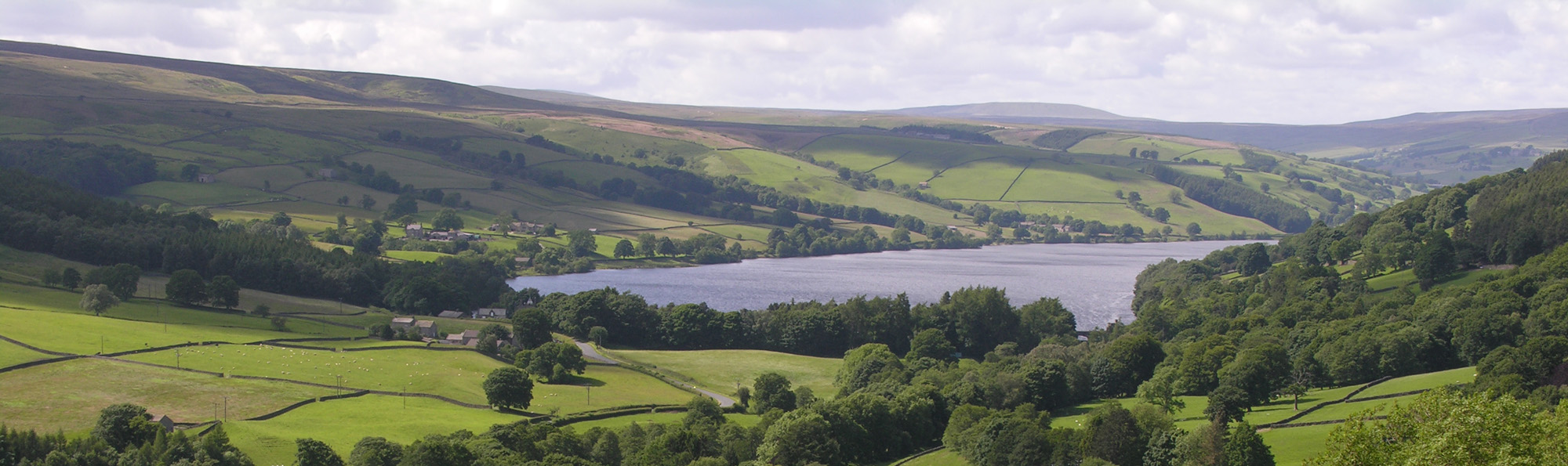 Green country landscape view with reservoir