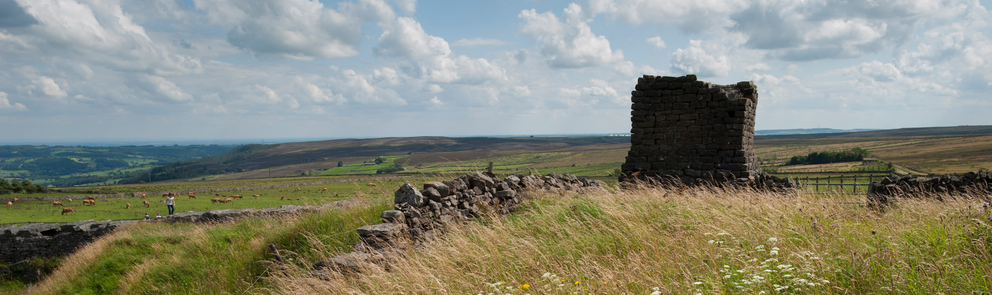 Remains of Toft Gate Lime Kiln set amogst long grass with a dry stone wall leading up to it and long distance views in the background