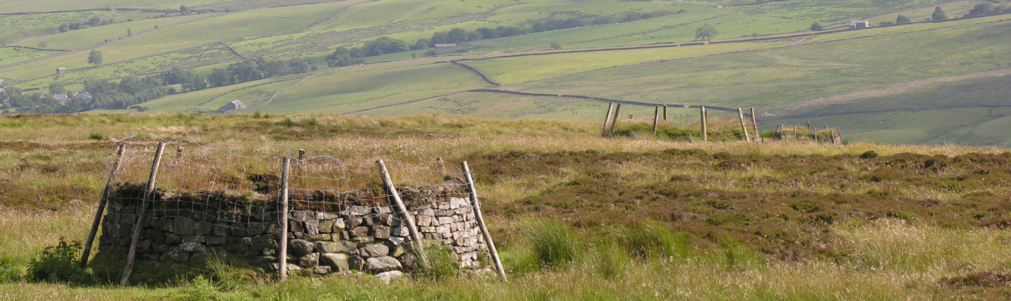 A circular dry stone shooting butt on a moor top with a further butt and green fields beyond