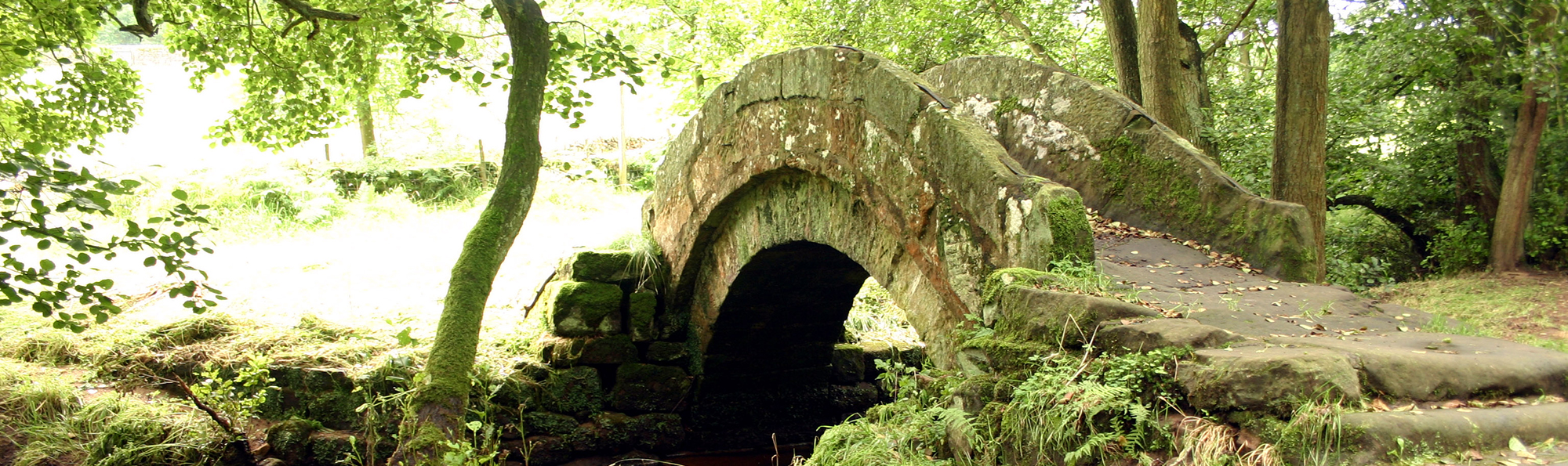 Small stone bridge in woodland