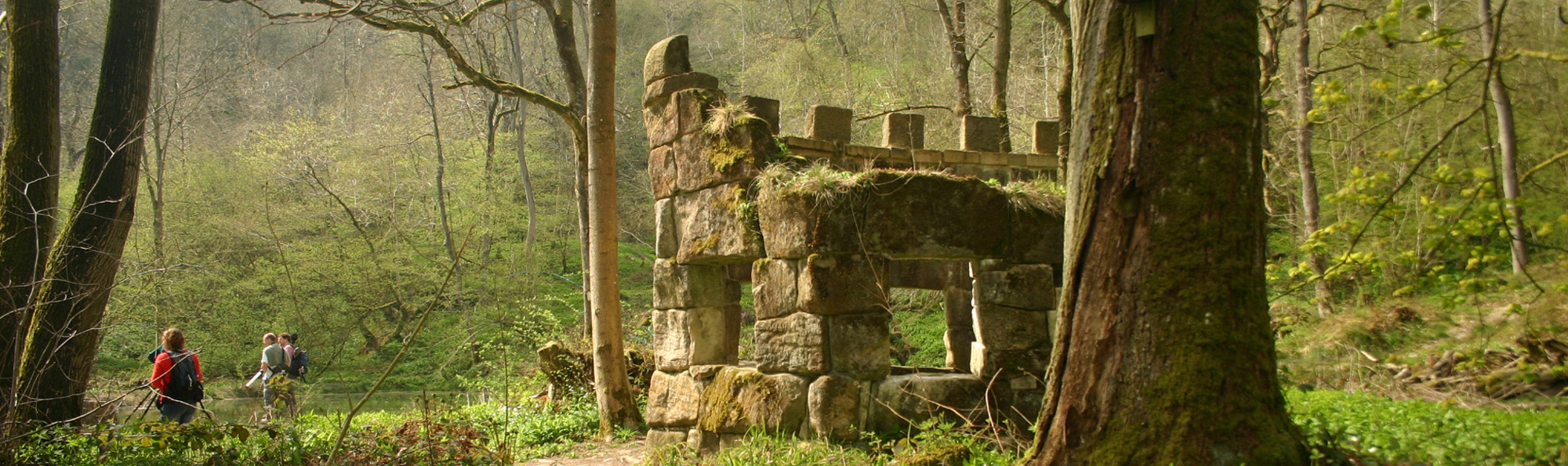 Stone folly on woodland with people in the distance