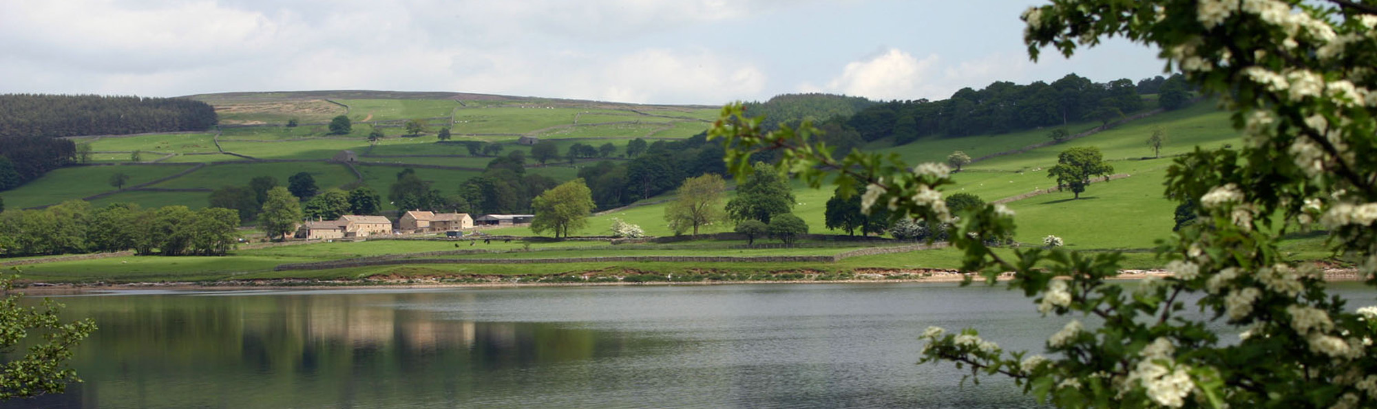 Cluster of stone buildings beside body of water