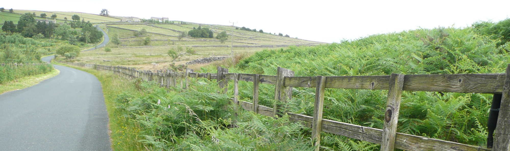 A wooden fence running alongside a narrow country lane winding into the distance between green fields