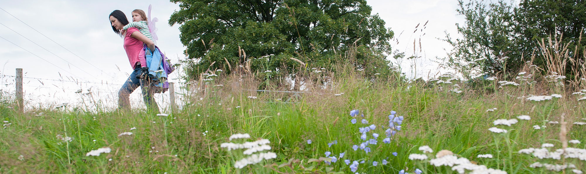 Blue and white flowers in amongst long grass with a lady giving a small child a piggy back