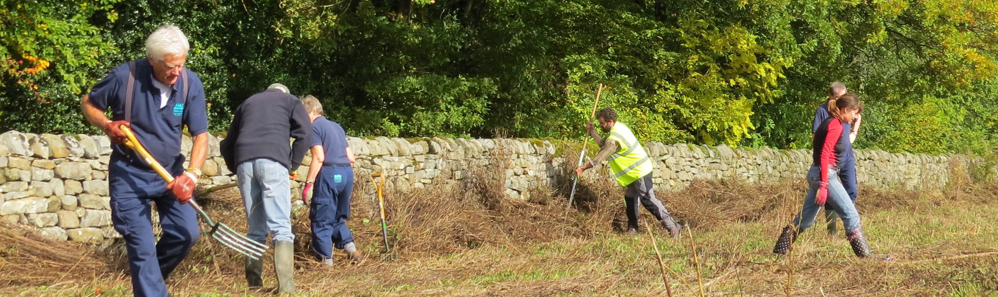 A group of AONB volunteers with rakes and forks on a patch of grassland