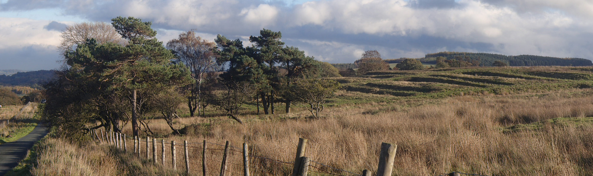 Wooden post fence before a landscape of brown and green fields and green trees