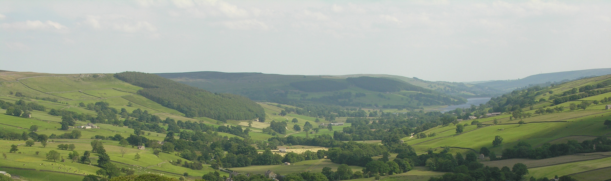 Green valley landscape with water in the distance