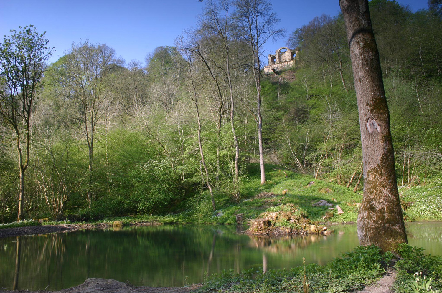 Stone folly above pond in woodland