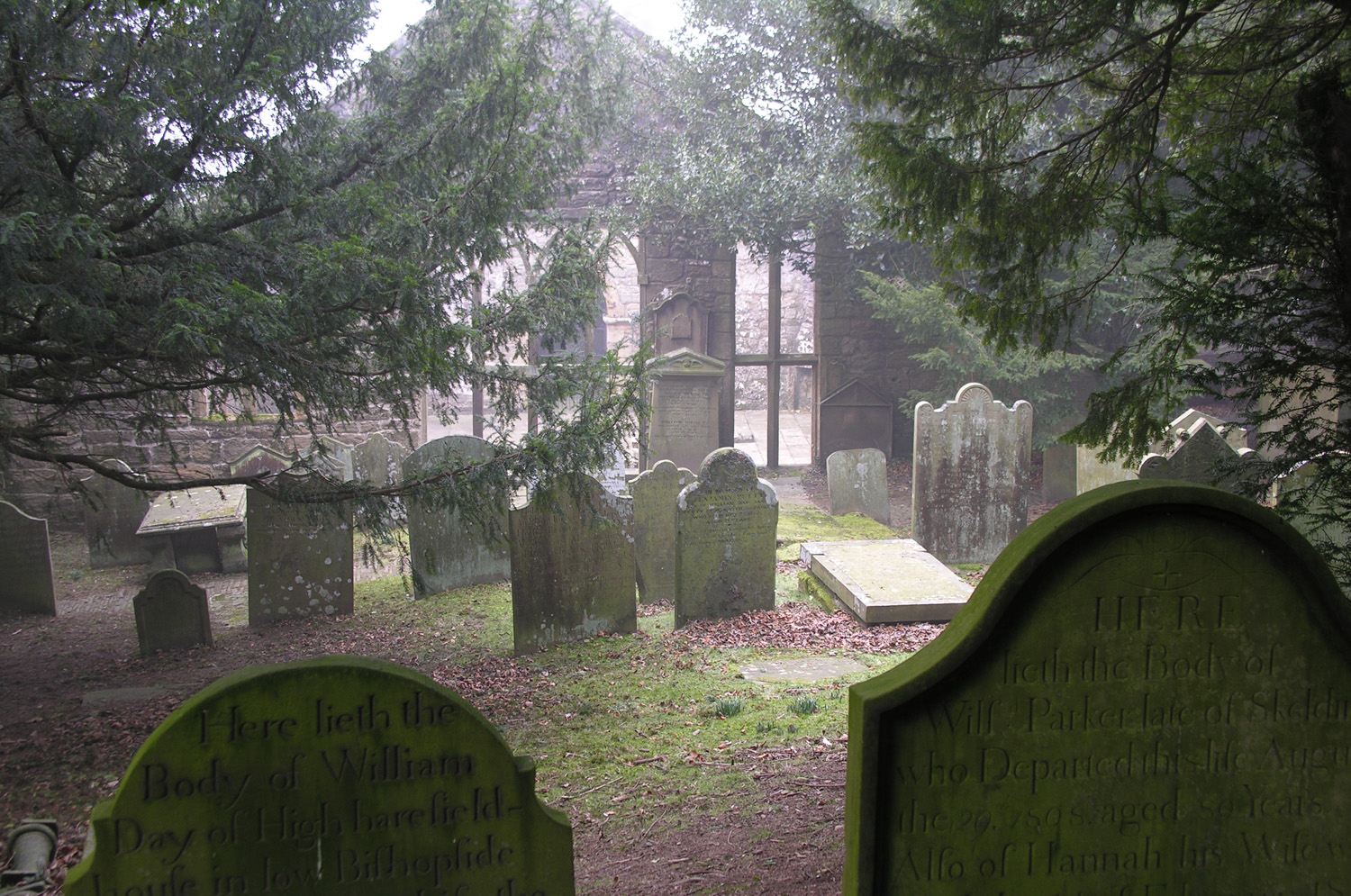 Stone headstones in a churchyard with trees overhead