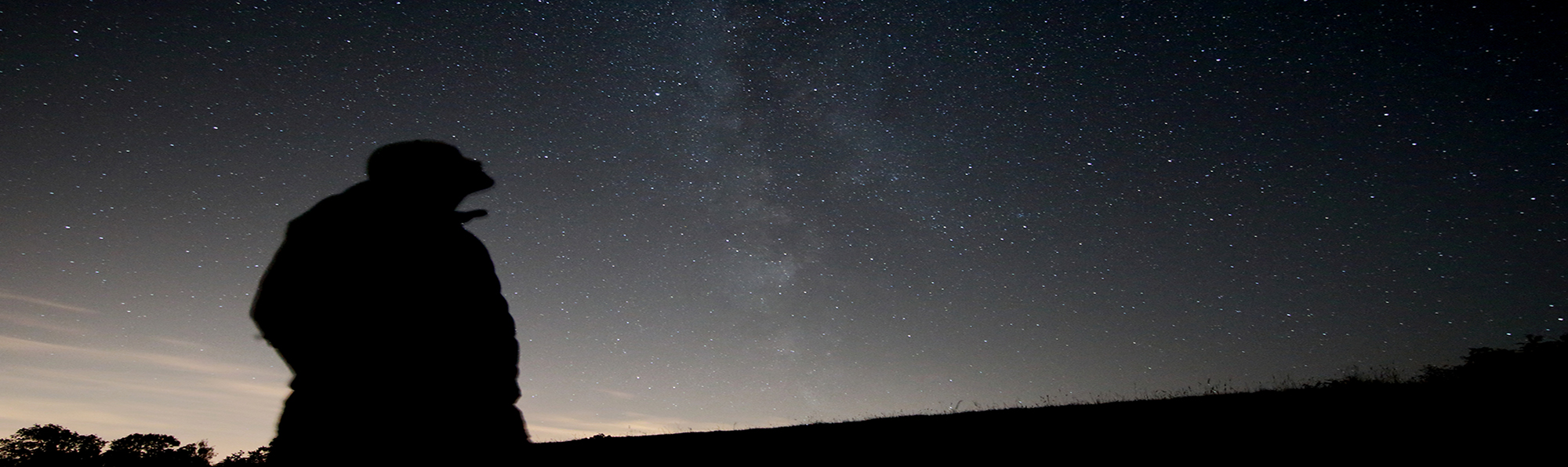 Silhouette of person looking up against a star filled dark sky