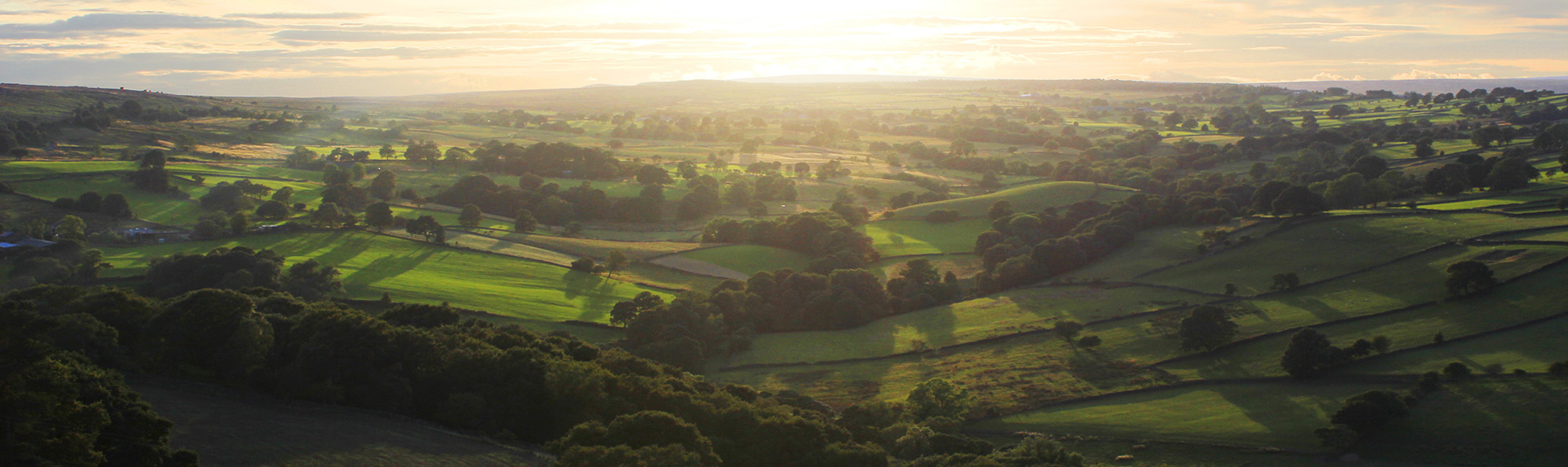 Green valley with sun setting in the distance