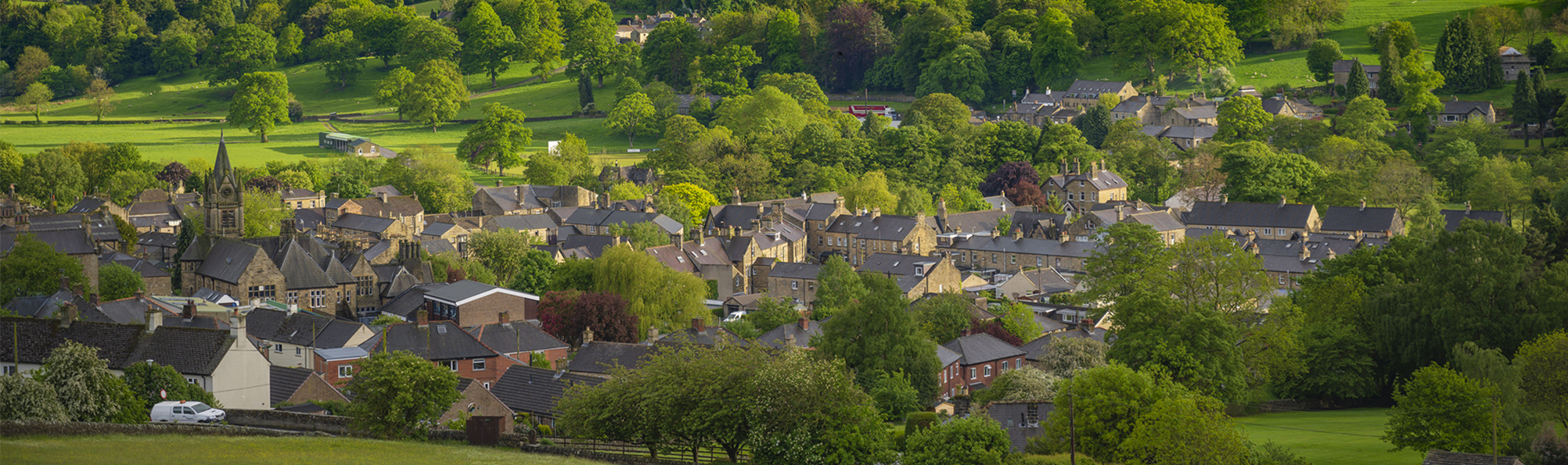 Collection of houses surrounded by green trees