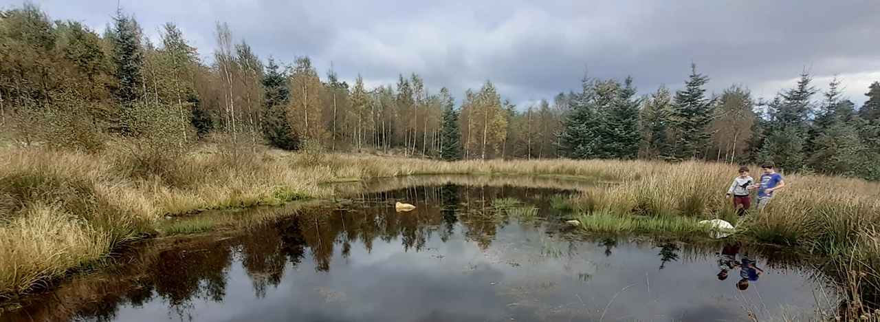 Two children stands looking at pond surrounded by trees