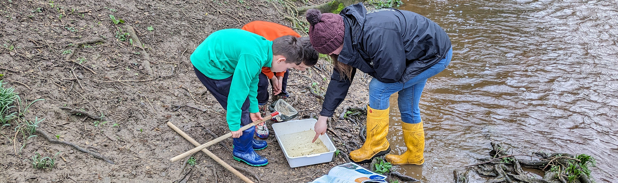 Two children with fishing nets looking at creatures in a tub of water.