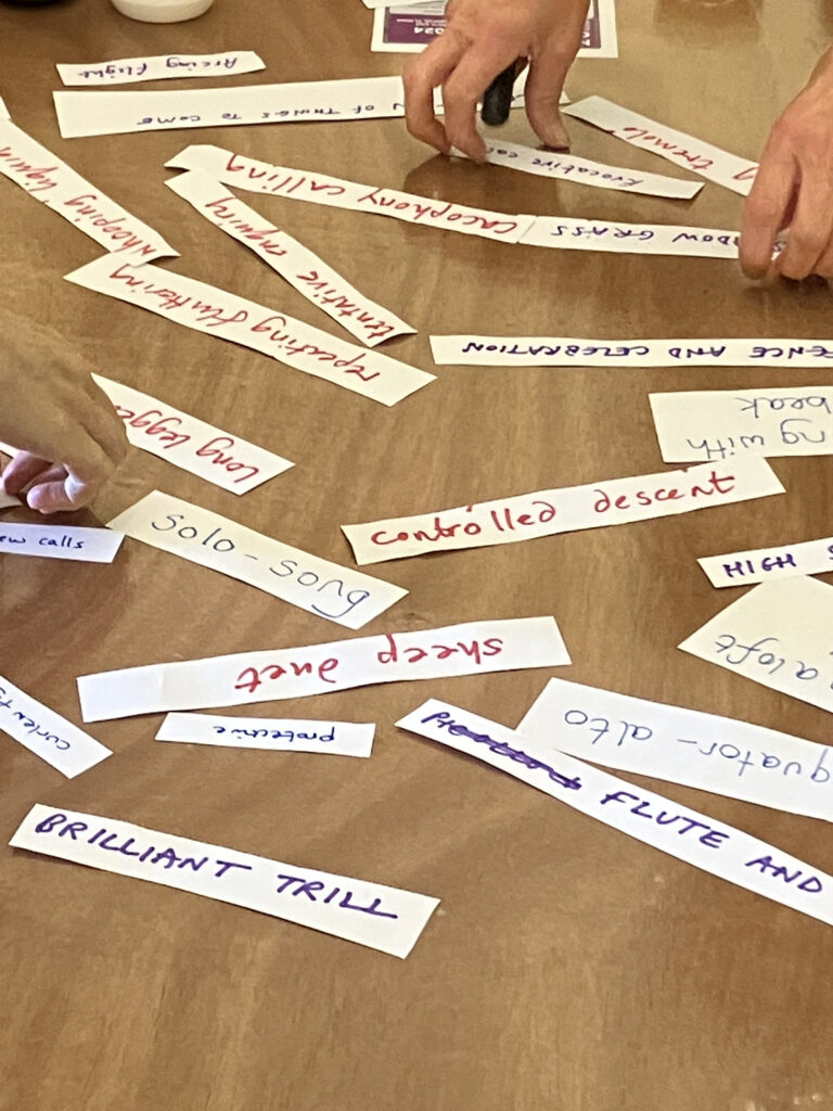 Chorus of the Curlew - using the 'cut up method' to help write songs